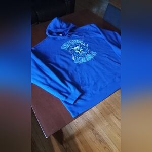 NEW NFL Detroit Tigers Hoodie Size 2XL